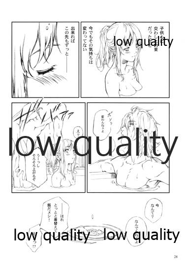 (C72) [Crank.In (Mizutani Tooru)] NOCTURNE II (Final Fantasy XI) - Page 27