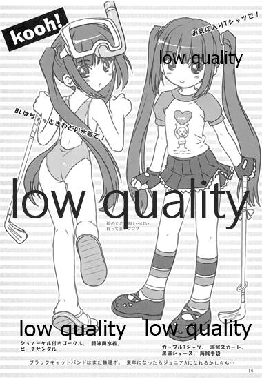 (C69) [Ocarina (Dyontairan)] Cowaremono #5 - Page 17