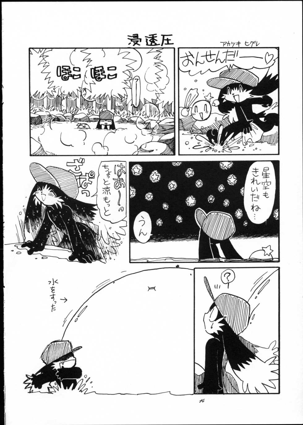 (C55) [Kuzumochiya (Mie Tooru)] OVER The WIND (Klonoa) - Page 13
