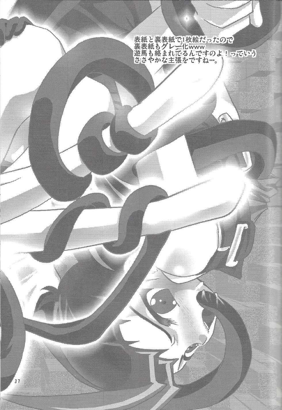 (C89) [Planetary (Hoshiduki Akira)] Yuma Hon dake Sairoku shita no ga Kochira desu (Yu-Gi-Oh! ZEXAL) - Page 36