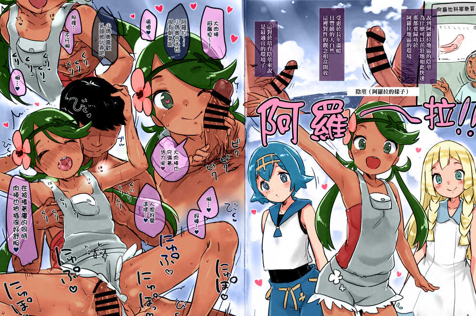 (C91) [MeltdoWN COmet (Yukiu Con)] C91 Omakebon!! (Pokémon Sun and Moon) [Chinese] [final個人漢化] [Colorized] - Page 2