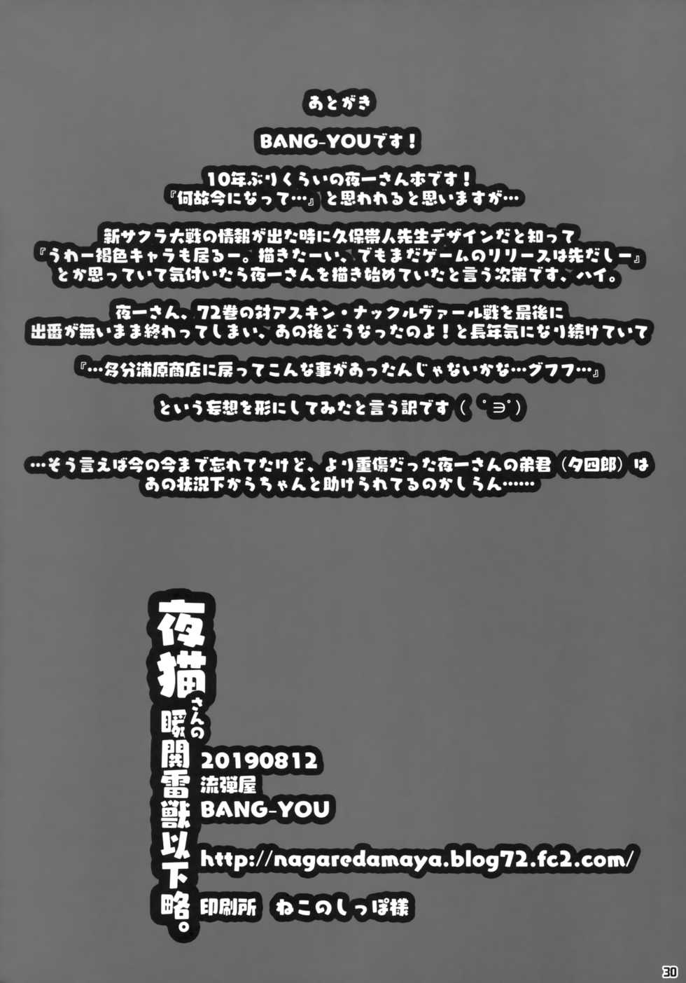 (C96) [Nagaredamaya (BANG-YOU)] Yoruneko-san no Shunkou Raijuu Ikaryaku. (Bleach) [Chinese] [黑条汉化$DDD] - Page 29