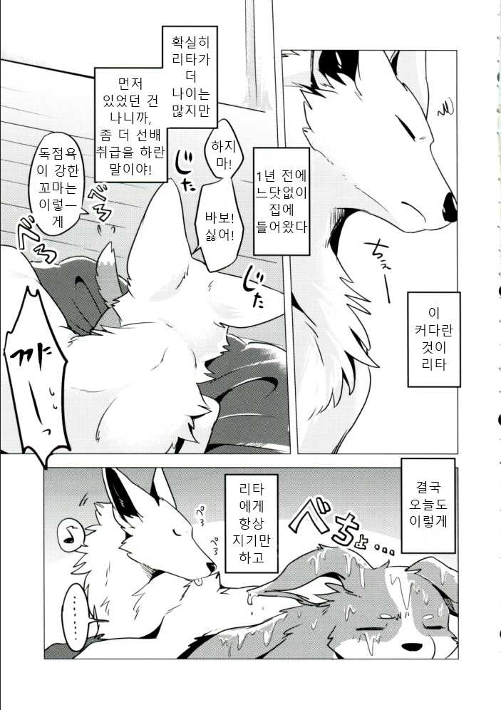 (Kansai! Kemoket 6) [Kaiten ParaDOGs (Diga Tsukune)] 1DK, Bokura to.  | 1DK, 우리들과 [Korean] - Page 6