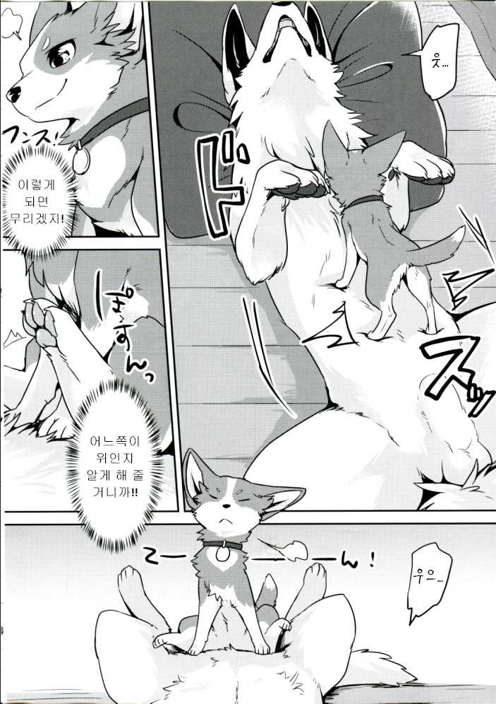 (Kansai! Kemoket 6) [Kaiten ParaDOGs (Diga Tsukune)] 1DK, Bokura to.  | 1DK, 우리들과 [Korean] - Page 9