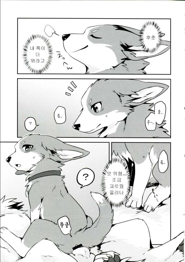 (Kansai! Kemoket 6) [Kaiten ParaDOGs (Diga Tsukune)] 1DK, Bokura to.  | 1DK, 우리들과 [Korean] - Page 10