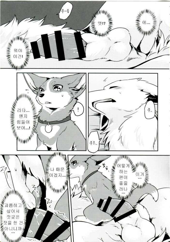 (Kansai! Kemoket 6) [Kaiten ParaDOGs (Diga Tsukune)] 1DK, Bokura to.  | 1DK, 우리들과 [Korean] - Page 12