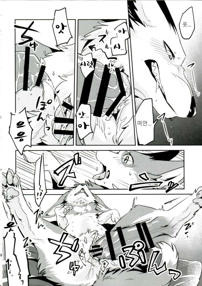 (Kansai! Kemoket 6) [Kaiten ParaDOGs (Diga Tsukune)] 1DK, Bokura to.  | 1DK, 우리들과 [Korean] - Page 25