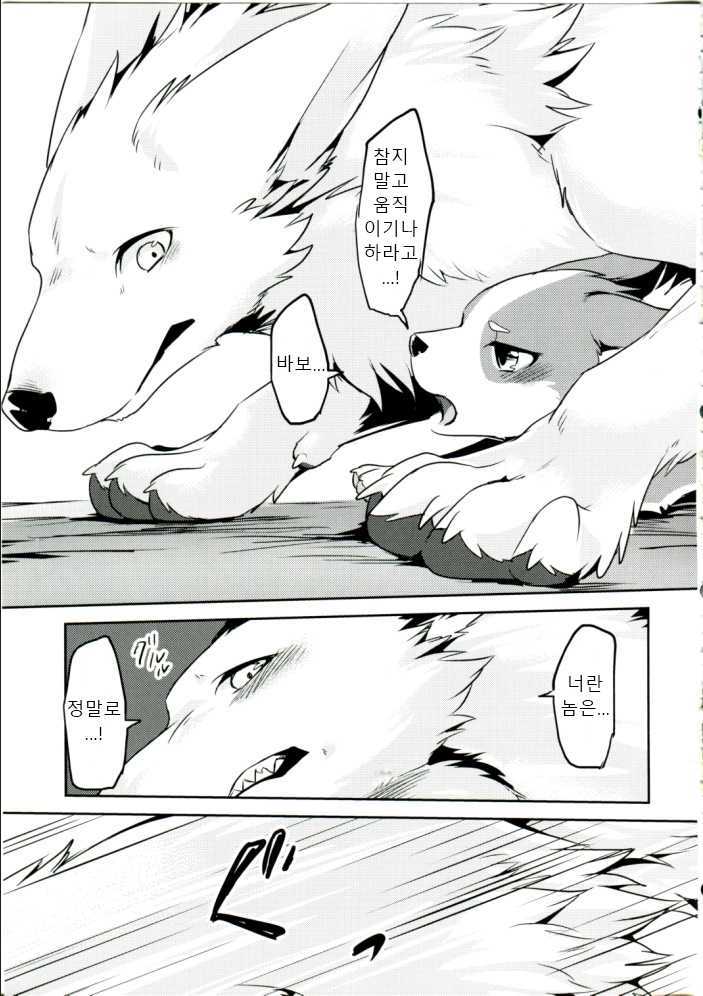 (Kansai! Kemoket 6) [Kaiten ParaDOGs (Diga Tsukune)] 1DK, Bokura to.  | 1DK, 우리들과 [Korean] - Page 34