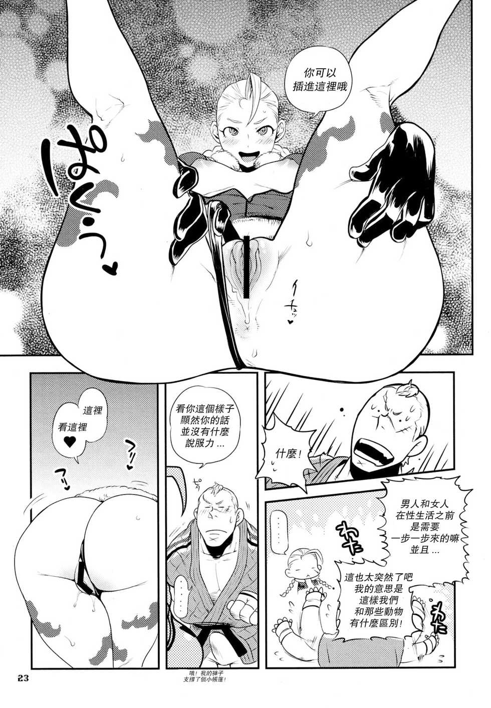 (C78) [Hougakuya (Namboku, Tohzai)] ROUND 05 (Street Fighter) [Chinese] [爱弹幕汉化组] - Page 24