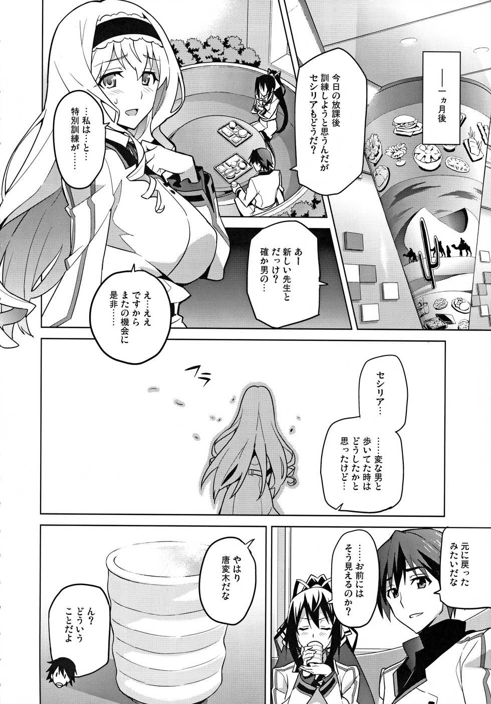 (C84) [Shinjugai (Takeda Hiromitsu)] Sutotama (IS <Infinite Stratos>) - Page 25