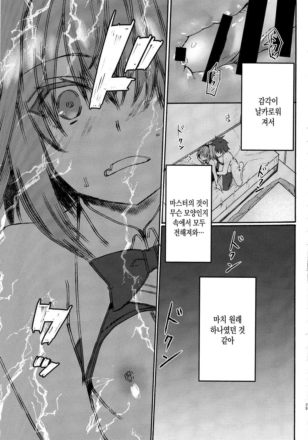 (C97) [Nekorobi (Nakajima Kotoko)] Gaman Dekiru mon!! | 참을 수 있다구!! (Fate/Grand Order) [Korean] [팀 마에스트로] - Page 39