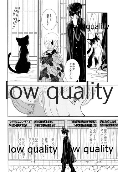 (コミティア134) [やまぐち楼 (ヤマグチシンジ)] 春愁の猫 - Page 9