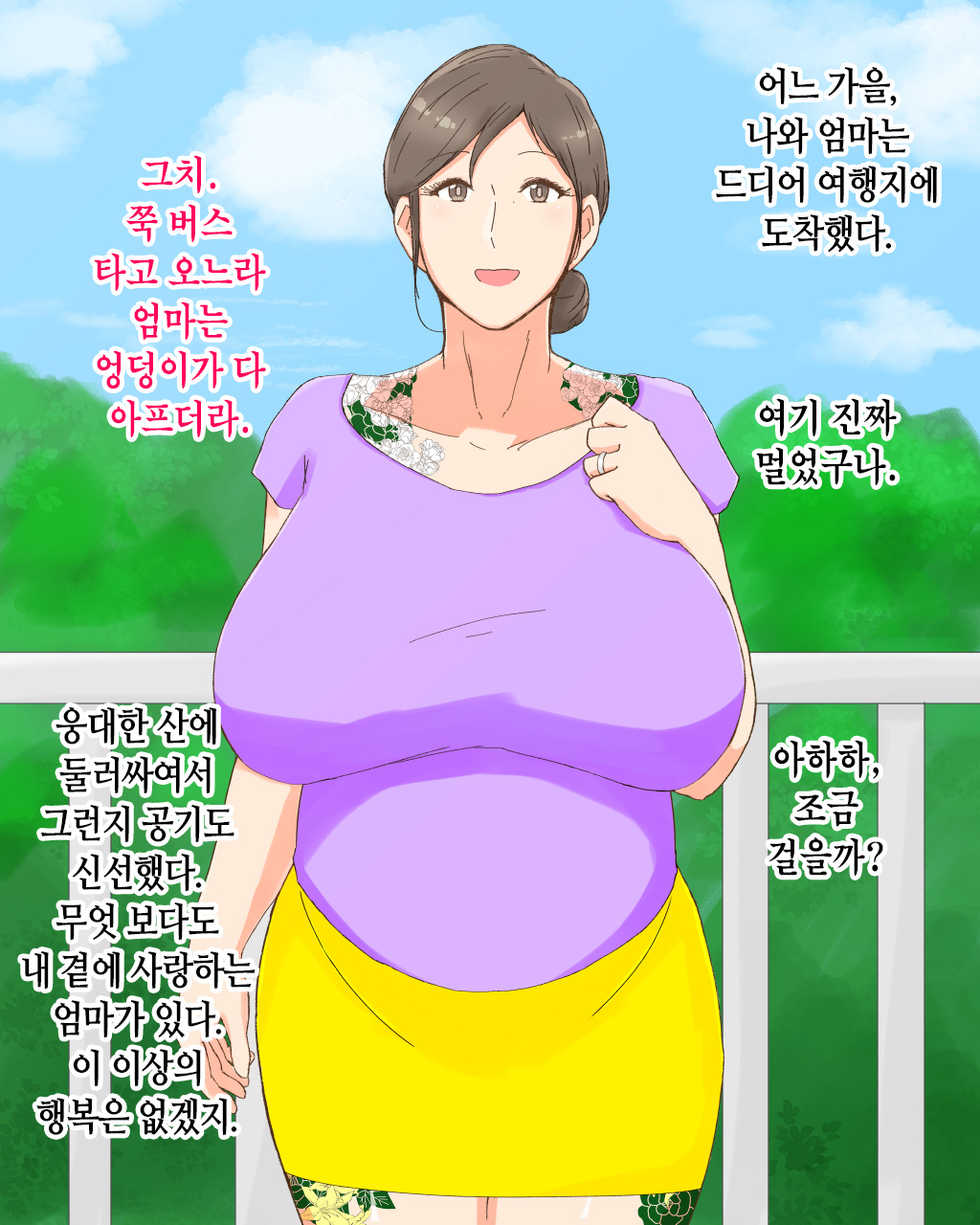 [Nureshidare] Boshi Dain Nichijou ~Boku no Tane de Haranda Kaa-san to Nakadashi Shimakuri Ryoukou Hen~ | 모자타음일상 ~나의 씨로 임신한 엄마와 주구장창 질싸 여행편~ [Korean] - Page 2