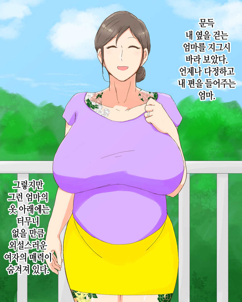 [Nureshidare] Boshi Dain Nichijou ~Boku no Tane de Haranda Kaa-san to Nakadashi Shimakuri Ryoukou Hen~ | 모자타음일상 ~나의 씨로 임신한 엄마와 주구장창 질싸 여행편~ [Korean] - Page 4