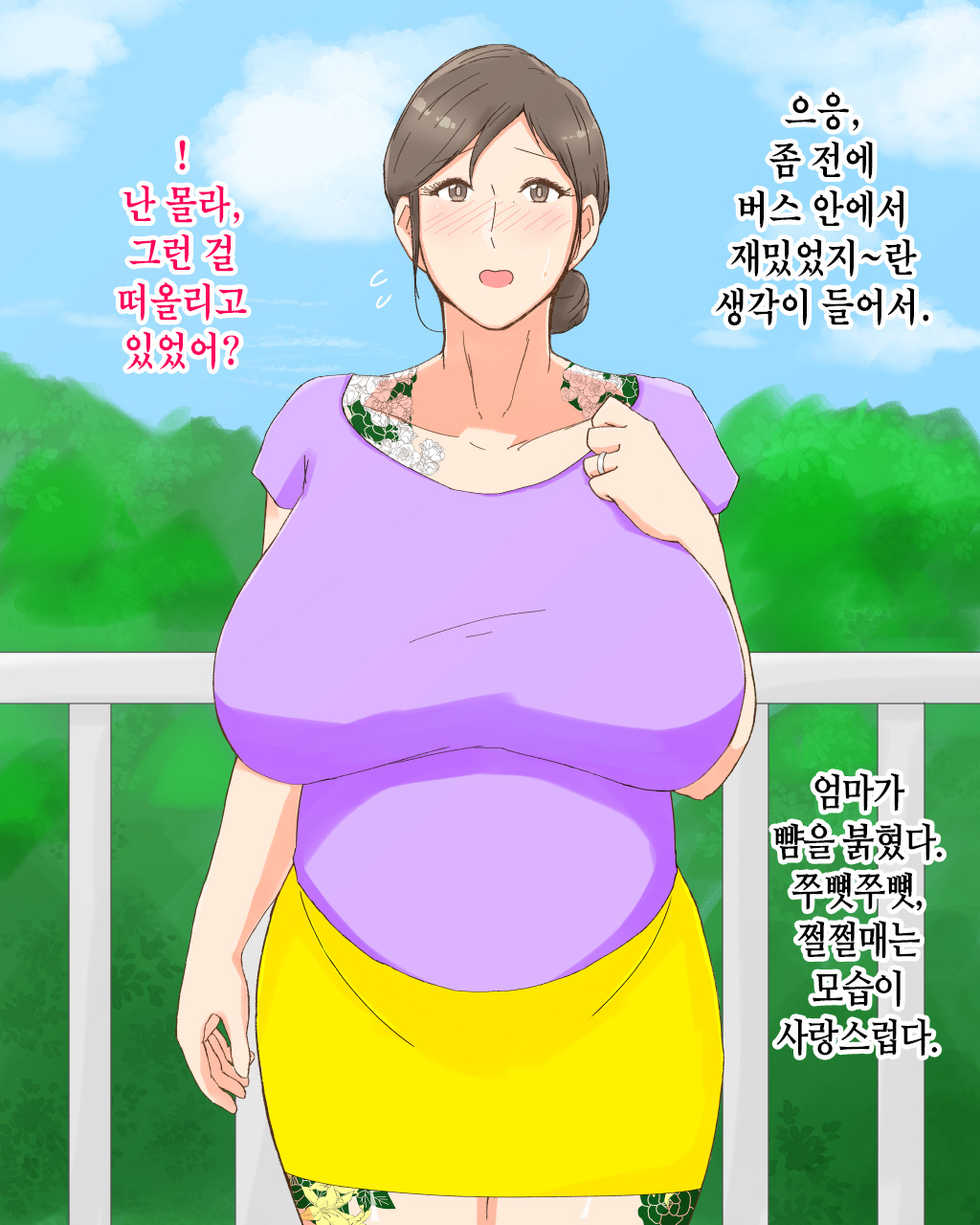 [Nureshidare] Boshi Dain Nichijou ~Boku no Tane de Haranda Kaa-san to Nakadashi Shimakuri Ryoukou Hen~ | 모자타음일상 ~나의 씨로 임신한 엄마와 주구장창 질싸 여행편~ [Korean] - Page 6