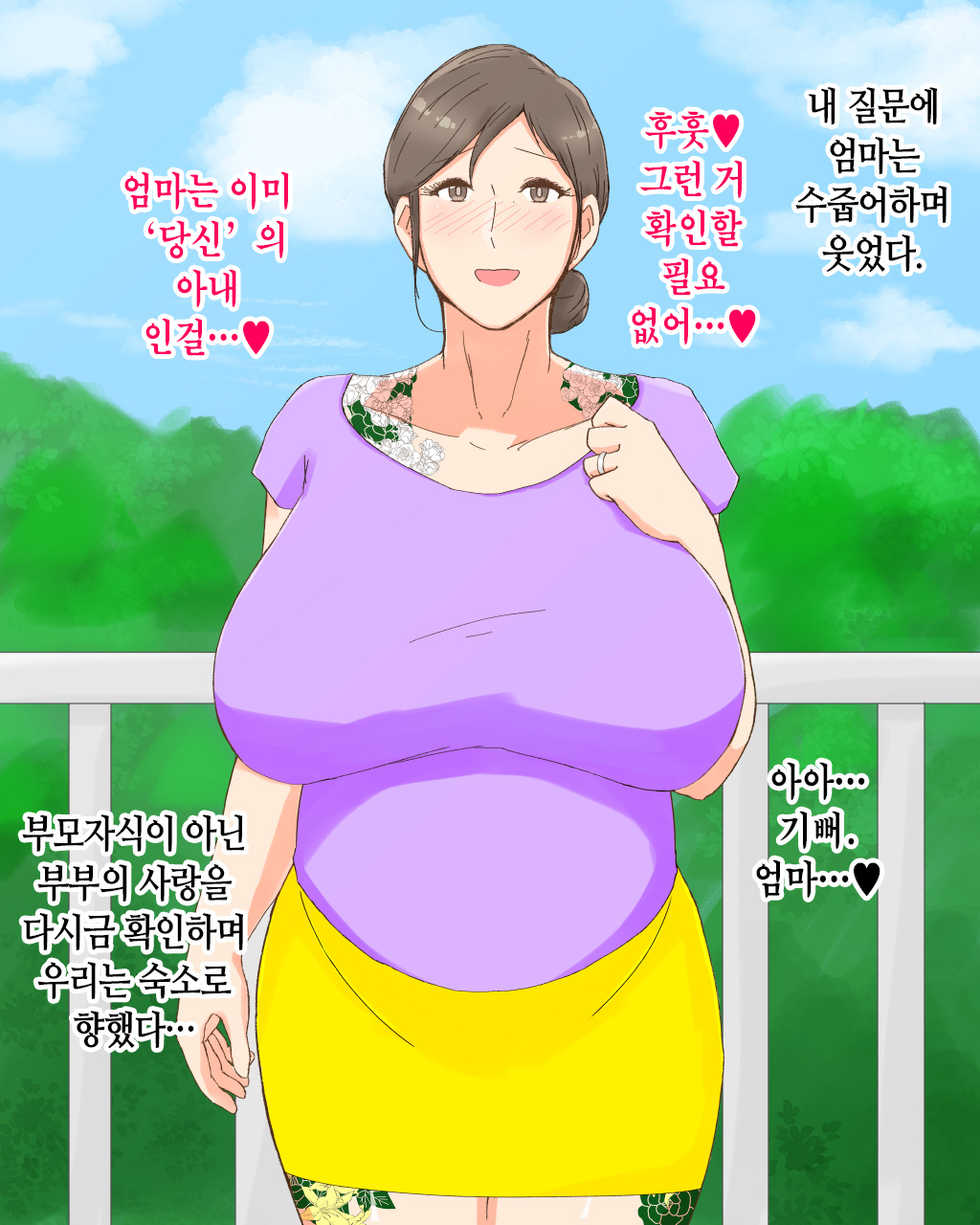 [Nureshidare] Boshi Dain Nichijou ~Boku no Tane de Haranda Kaa-san to Nakadashi Shimakuri Ryoukou Hen~ | 모자타음일상 ~나의 씨로 임신한 엄마와 주구장창 질싸 여행편~ [Korean] - Page 17