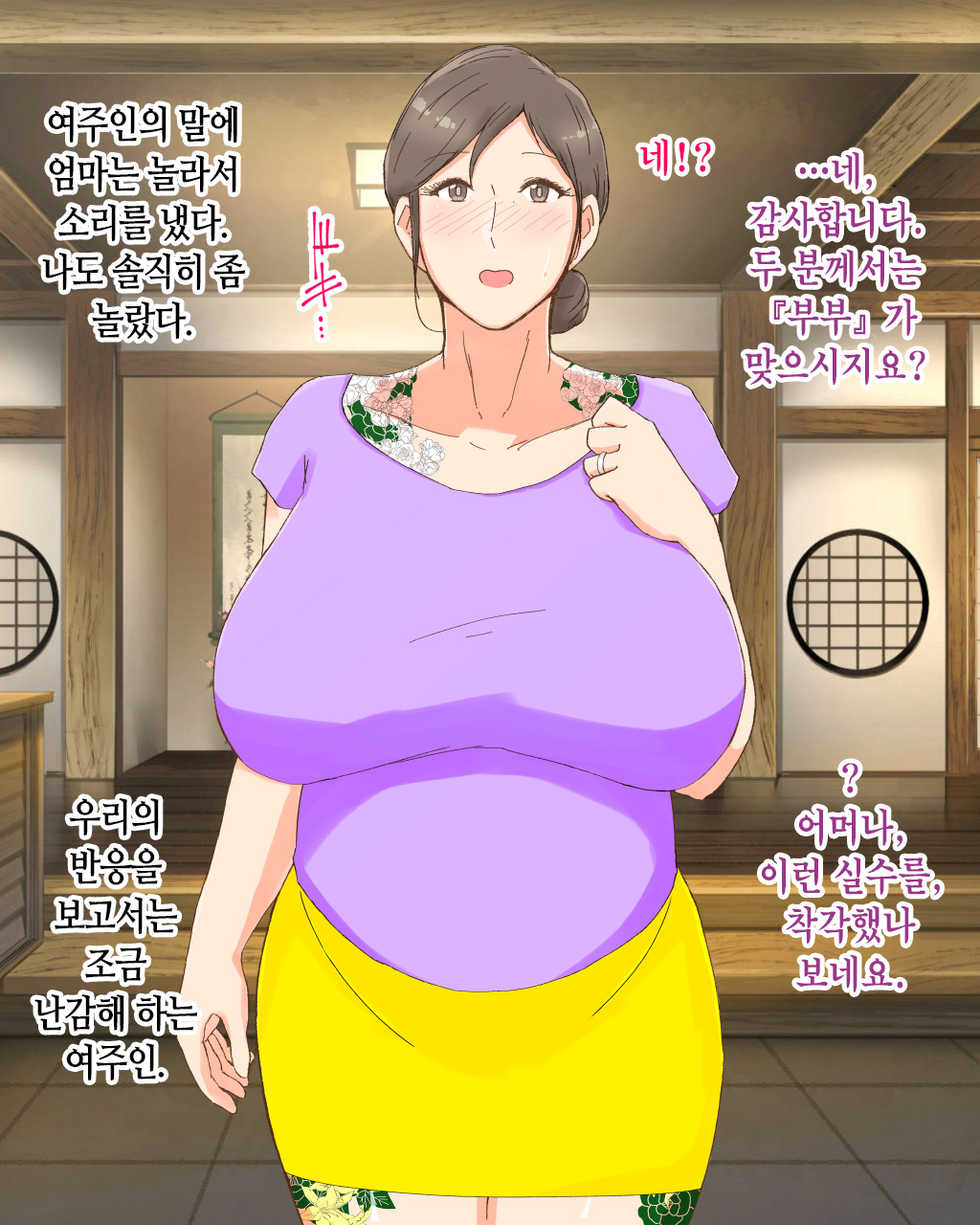 [Nureshidare] Boshi Dain Nichijou ~Boku no Tane de Haranda Kaa-san to Nakadashi Shimakuri Ryoukou Hen~ | 모자타음일상 ~나의 씨로 임신한 엄마와 주구장창 질싸 여행편~ [Korean] - Page 19