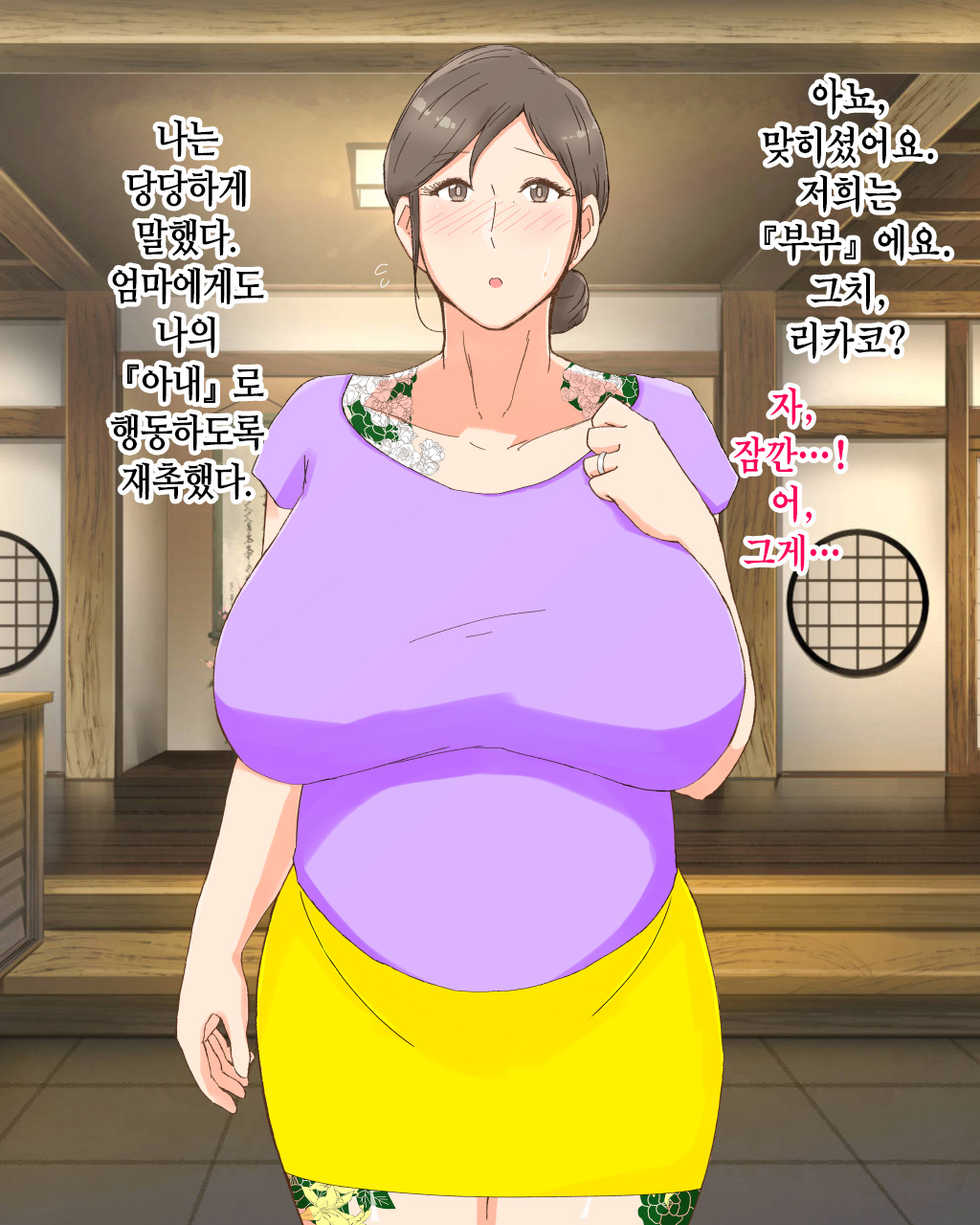 [Nureshidare] Boshi Dain Nichijou ~Boku no Tane de Haranda Kaa-san to Nakadashi Shimakuri Ryoukou Hen~ | 모자타음일상 ~나의 씨로 임신한 엄마와 주구장창 질싸 여행편~ [Korean] - Page 20