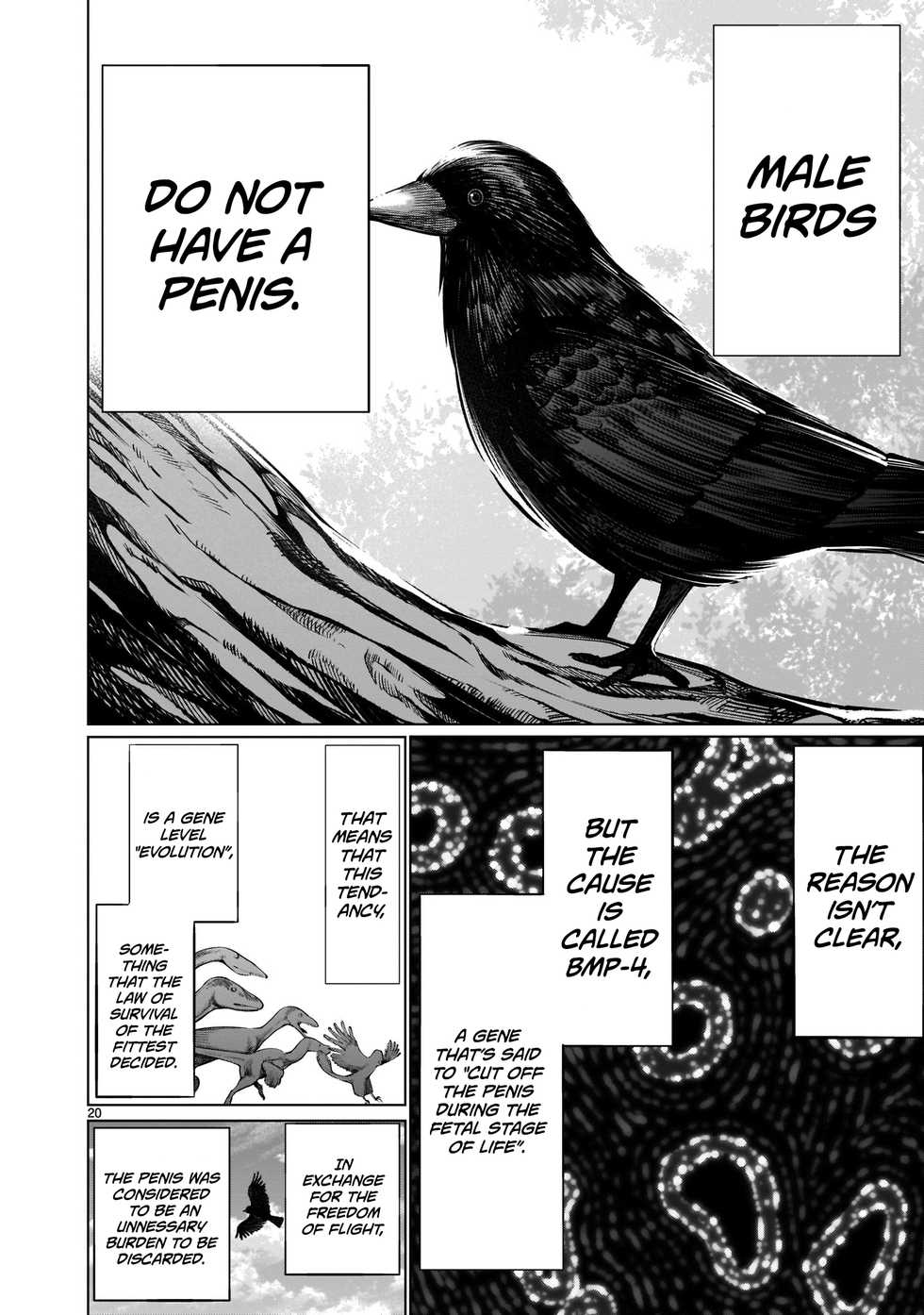 [Wild Heroes] (Sumita Kazuasa, Shinya Murata) Isn't It Too Much? Inaba-san/Hoshi Gari Sugidesho? Inaba-san chapter 7 [English] [Roadwarior2] - Page 19