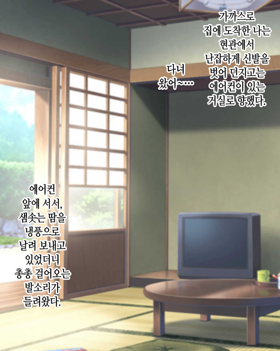 [Nureshidare] Boshi Renai Bojou ~Kaa-chan, Ore no Kodomo Unde Kure~ │ 모자연애모정 ~엄마, 나의 아이를 낳아줘~ [Korean] - Page 3