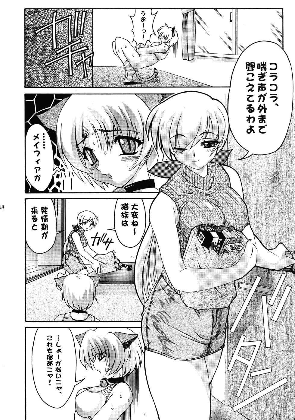 (CR27) [Abarenbow Tengu (Daitengu Iori, Izumi Yuujiro)] ABATEN HOMME (Magical Antique) - Page 14