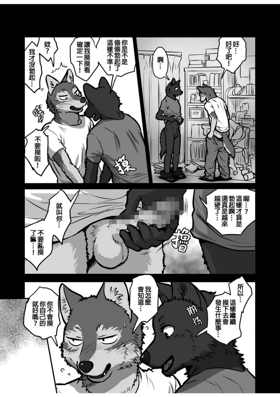 [Maririn] Ookami x Ookami [Chinese] - Page 4