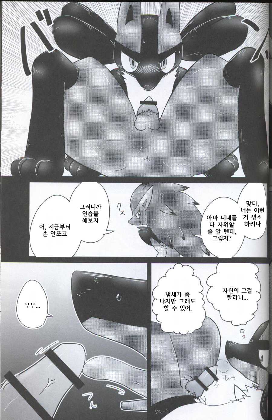 (C88) [Odoshiro Canvas (Various)] TRAiNER! (Pokémon) [Korean] - Page 31