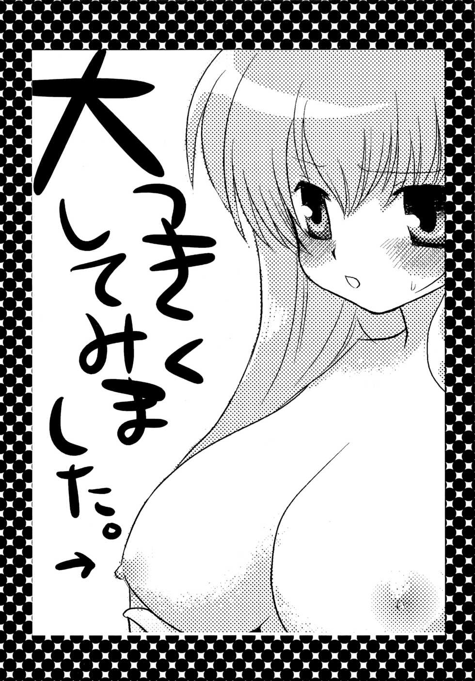 (SC35) [Nagiyamasugi (Nagiyama)] Tabatha & Sylphie (The Familiar of Zero) - Page 16