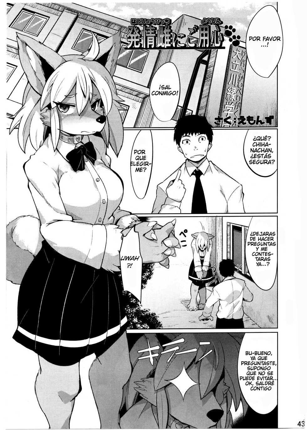 (C91) [Mayoineko (Emons)] Hatsujou Bitch ni Goyoujin (Kemokko Lovers 7)[Spanish] - Page 1