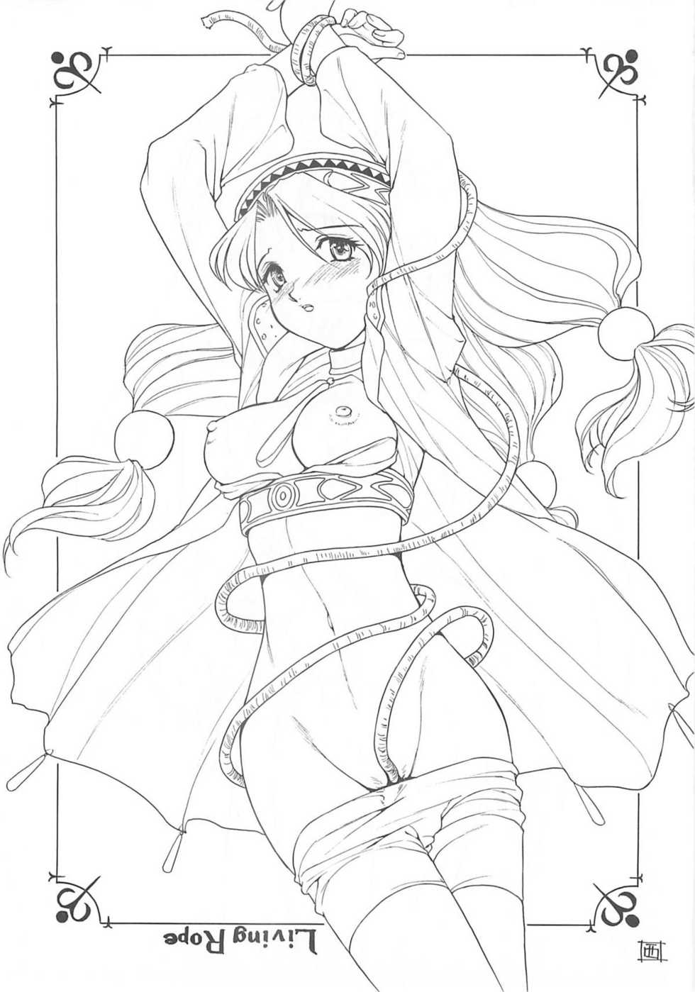 (C62) [Studio Wallaby (Nishitsuki Tsutomu)] Nishitsuki Recycle (Various) - Page 12