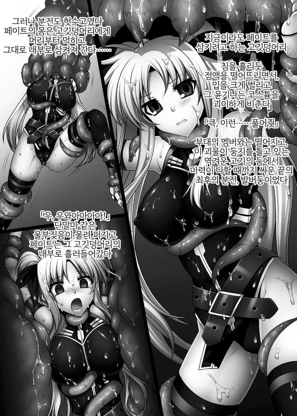 [Daraku Jiko Chousa Iinkai (Sch-mit)] Daraku Shitsumukan | 타락집무관 (Mahou Shoujo Lyrical Nanoha) [Korean] [LWND] [Digital] - Page 3