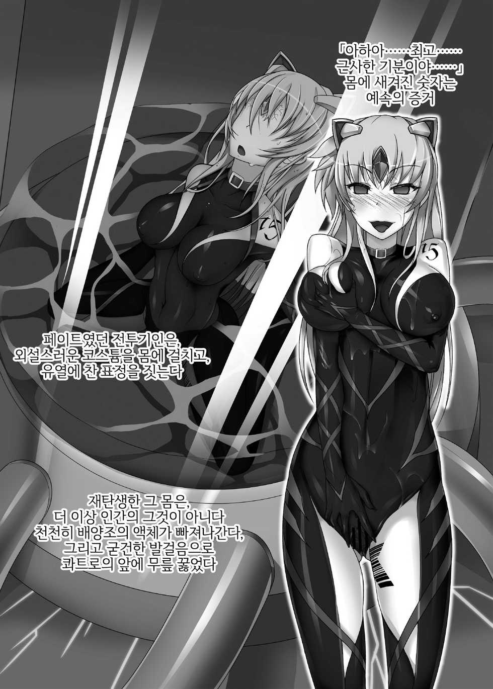 [Daraku Jiko Chousa Iinkai (Sch-mit)] Daraku Shitsumukan | 타락집무관 (Mahou Shoujo Lyrical Nanoha) [Korean] [LWND] [Digital] - Page 19
