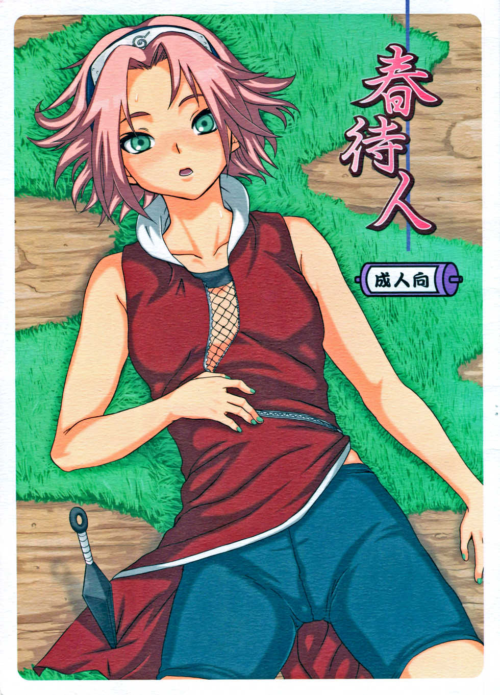 (C70) [Koala Machine (Tokiwa Tamiki)] Haru Machibito | Waiting For Spring (Naruto) [Spanish] [m2mwk2] - Page 1
