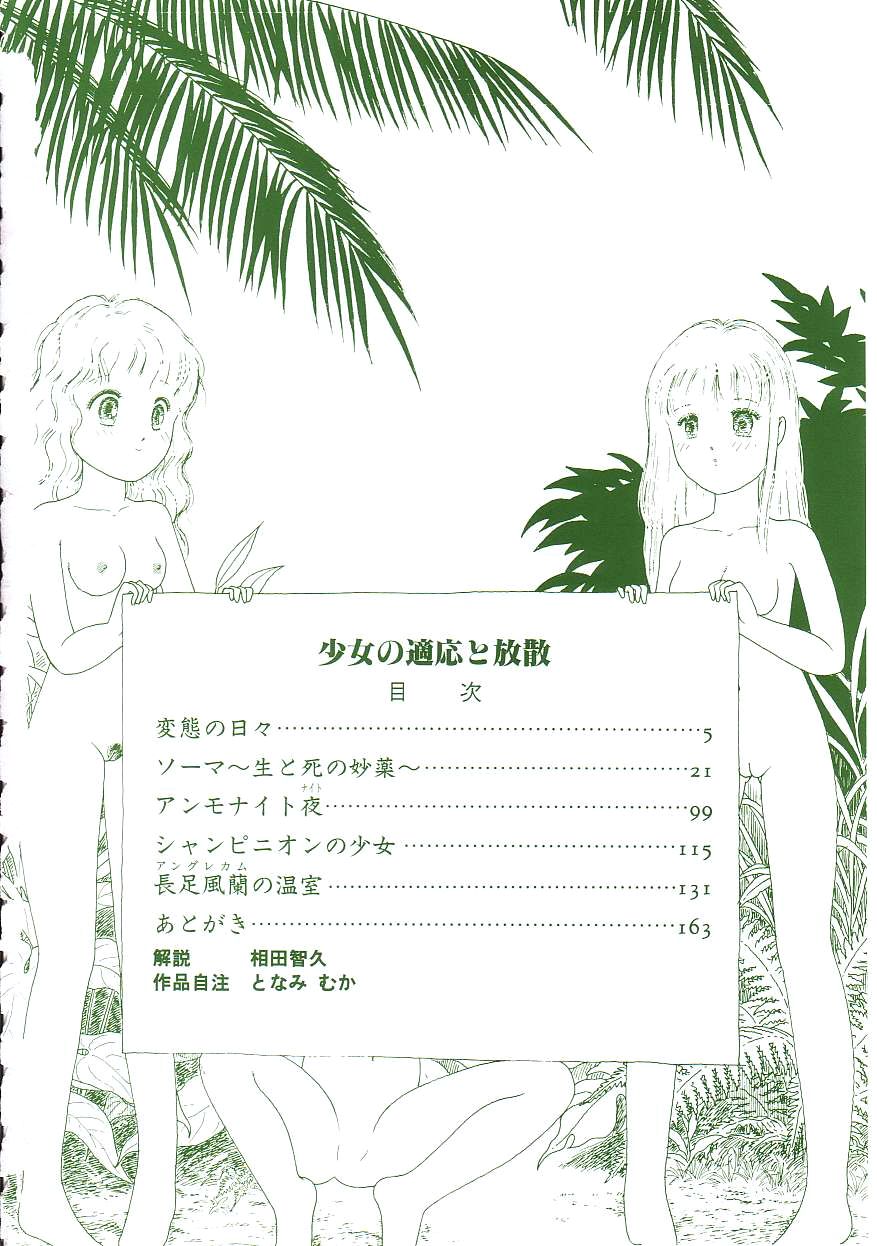 [Tonami Muka] Shoujo no Tekiou to Housan - Page 4