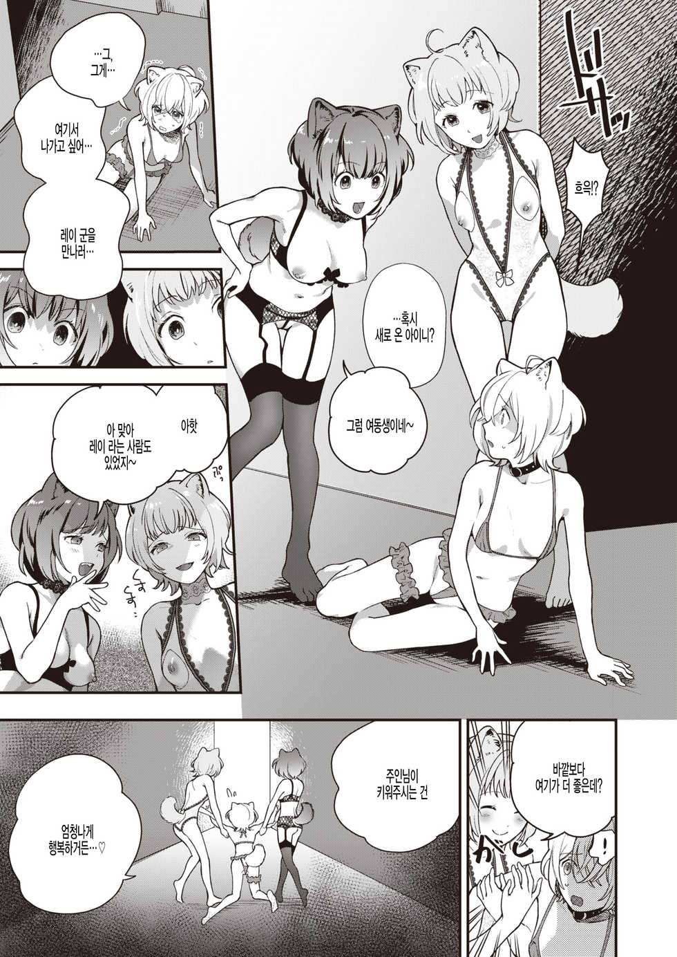 [Yamaimo Tororo] Never End Rondo (COMIC Kairakuten BEAST 2020-09) [Korean] [팀 털난보리] [Digital] - Page 3