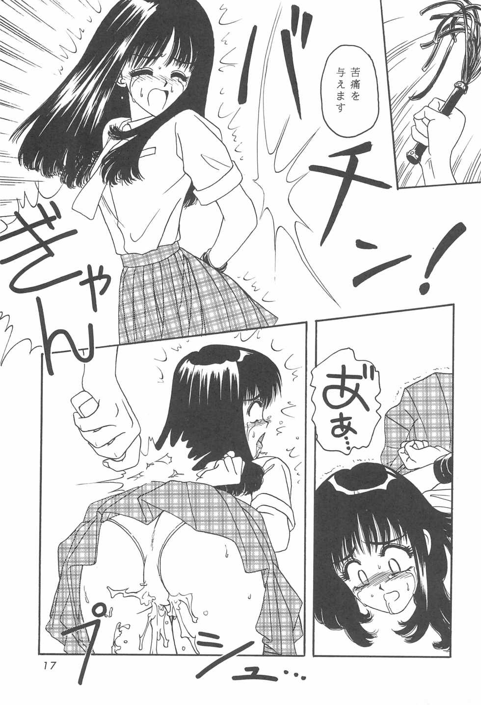 (C55) [Advanced-SS (Anyakunin)] Suishou no Yoru (Various) - Page 17