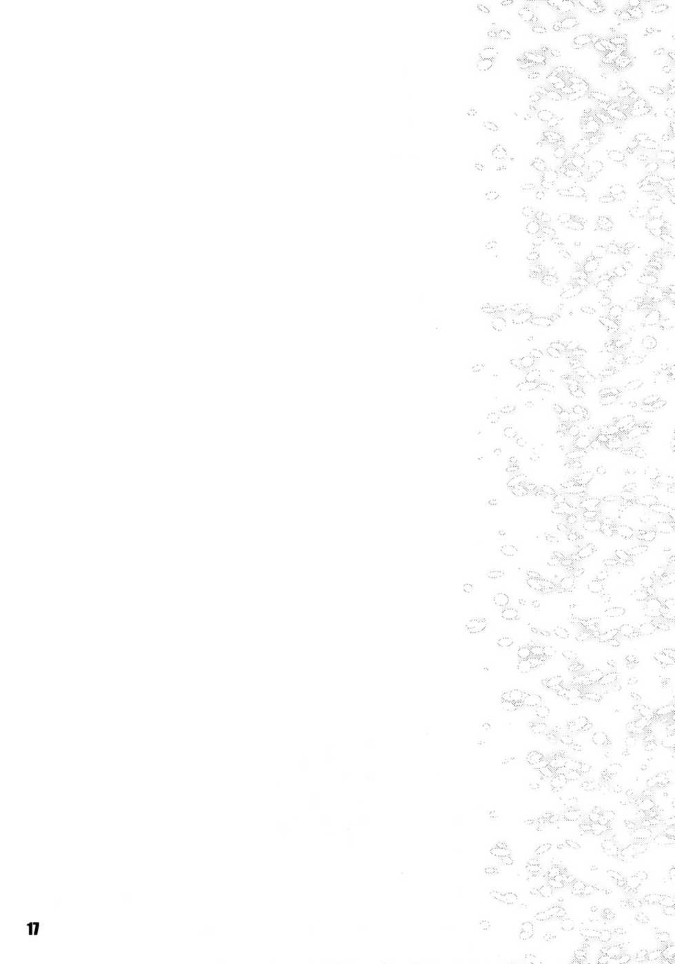 (C74) [EGO DANCE (Nanamatsu Kenji)] Sweet Dreams Forever (Summon Night 2) [Spanish] [Avatar-kun] - Page 17