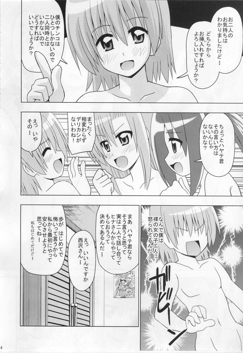 (C76) [HARESAKU (KEN)] Hina Hamu Matsuri (Hayate no Gotoku!) - Page 5