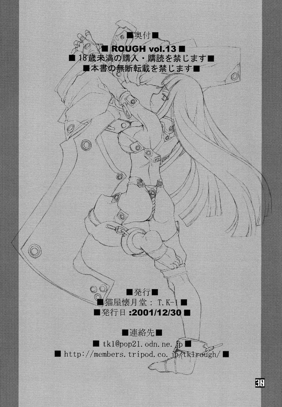 (C61) [Nekoya Kaigetsudou (T.K-1)] ROUGH vol.13 (Summon Night) - Page 30