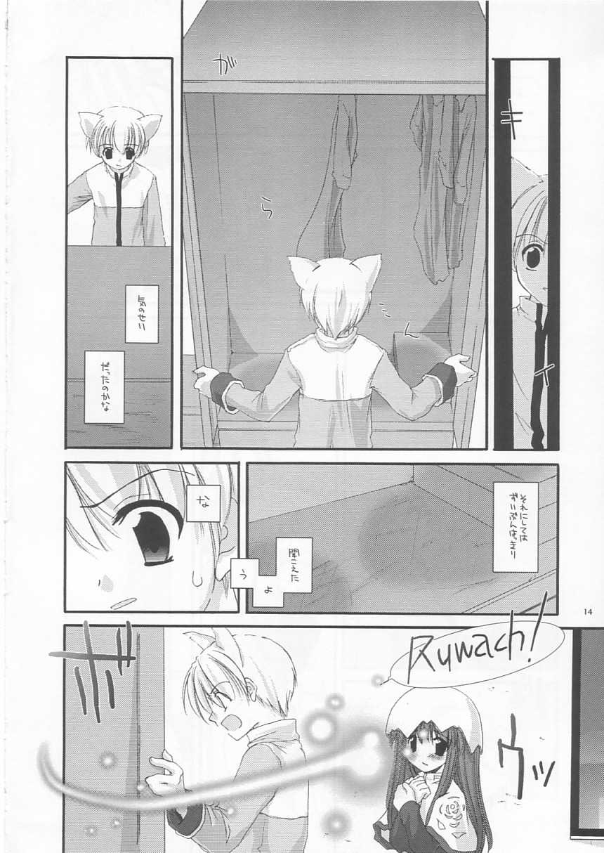 (C64) [Digital Lover (Nakajima Yuka)] D.L. Action 19 (Ragnarok Online) - Page 14