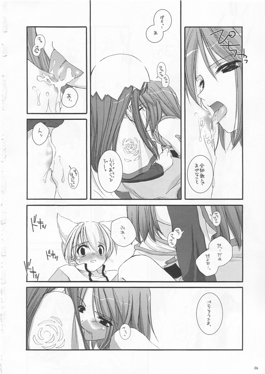(C64) [Digital Lover (Nakajima Yuka)] D.L. Action 19 (Ragnarok Online) - Page 26