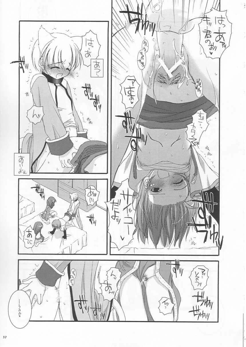 (C64) [Digital Lover (Nakajima Yuka)] D.L. Action 19 (Ragnarok Online) - Page 37