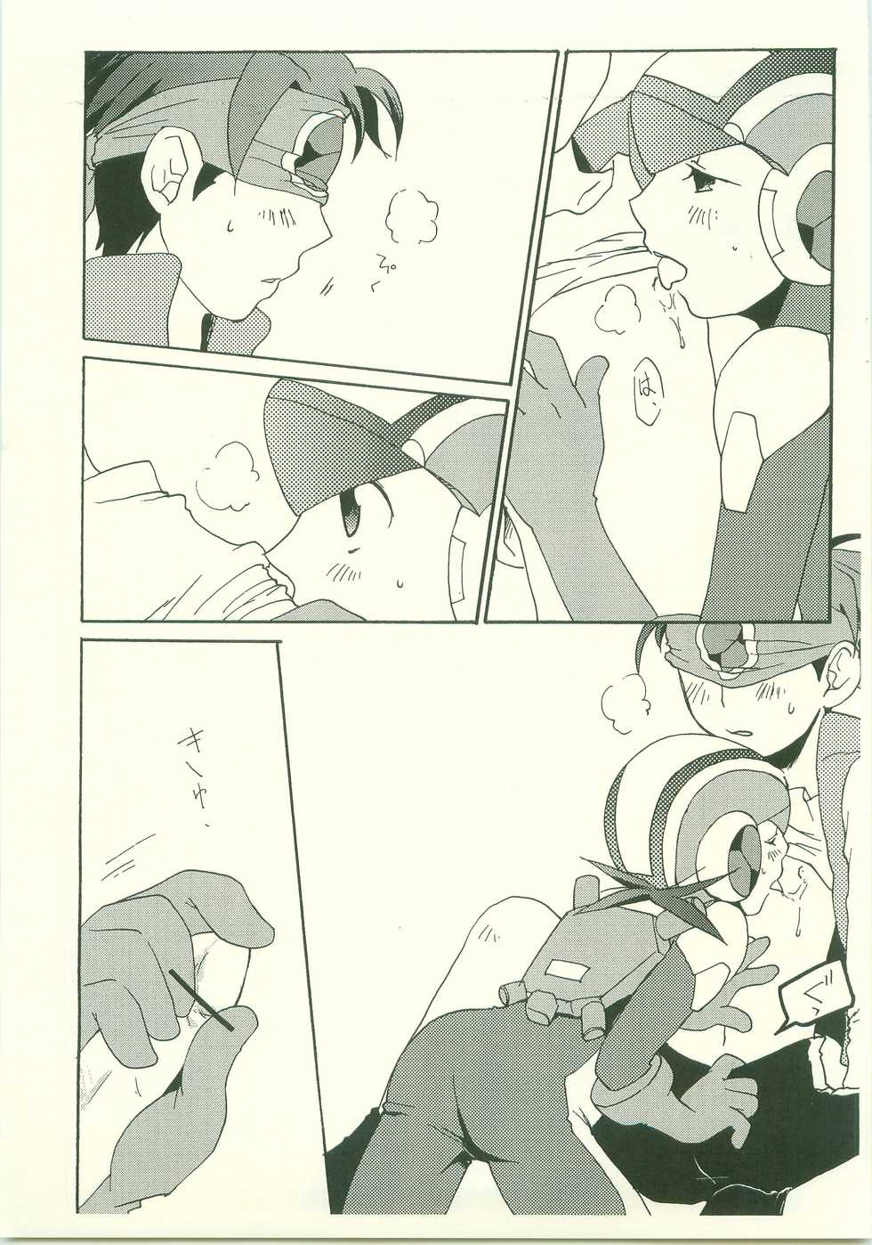 (C70) [AYAnet  (Hibikino Ayane)] Daisuki. Dakara, (Rockman.EXE) - Page 12