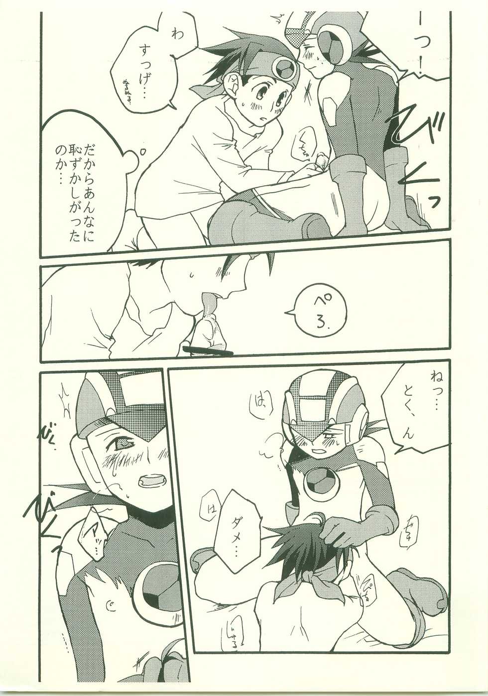 (C70) [AYAnet  (Hibikino Ayane)] Daisuki. Dakara, (Rockman.EXE) - Page 18