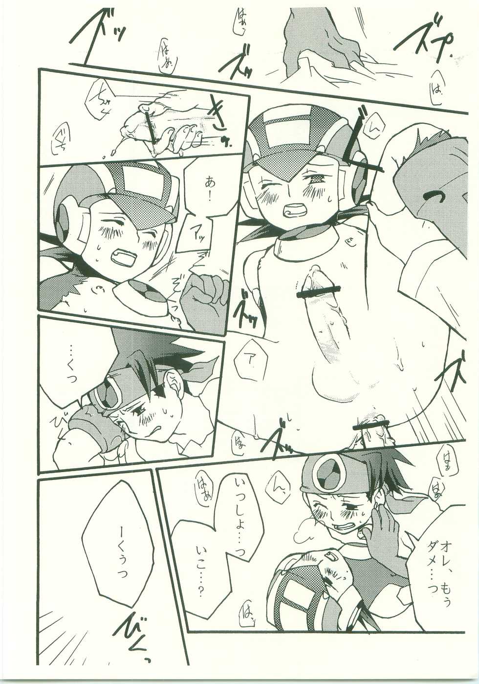 (C70) [AYAnet  (Hibikino Ayane)] Daisuki. Dakara, (Rockman.EXE) - Page 23