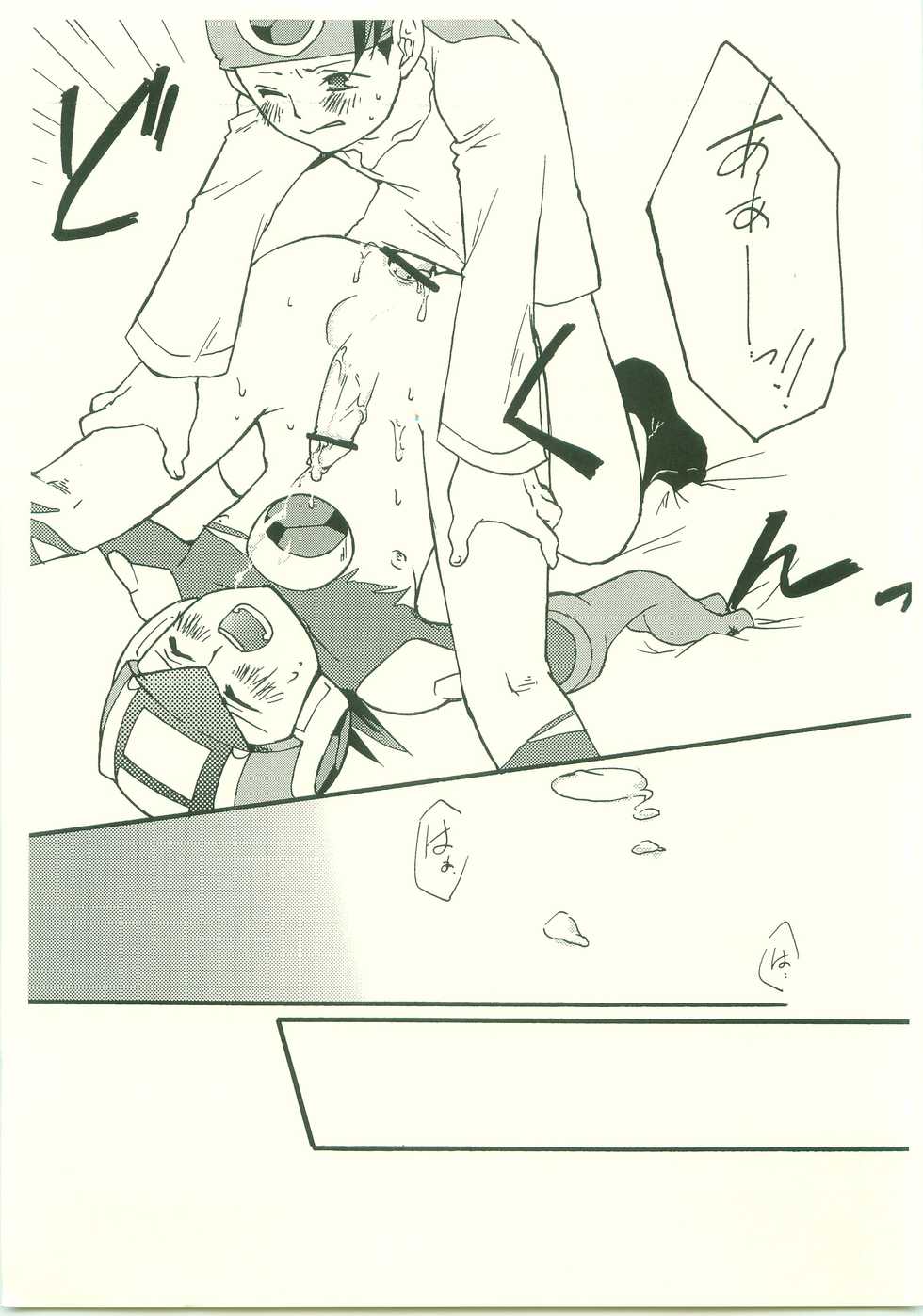 (C70) [AYAnet  (Hibikino Ayane)] Daisuki. Dakara, (Rockman.EXE) - Page 24
