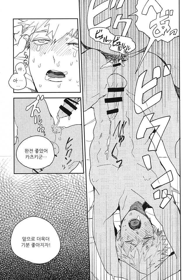 (Douyara Deban no Youda!) [Dobon (MiN)] Bakugou Ryoujoku (Boku no Hero Academia) [Korean] - Page 16