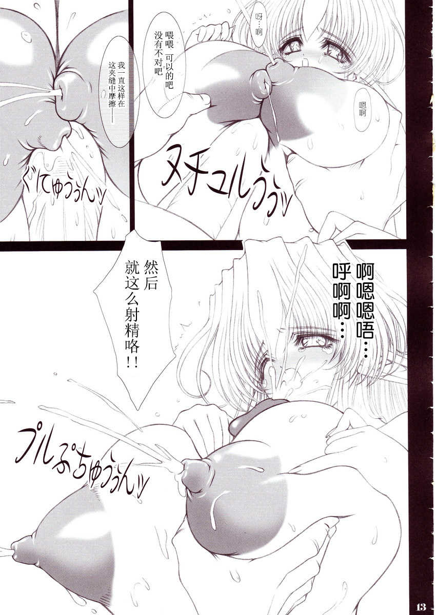 (C66) [Shoujo Kousaku (eltole)] Nyuudaku Iro no Kansoukyoku [Chinese] [牛肝菌汉化] - Page 12