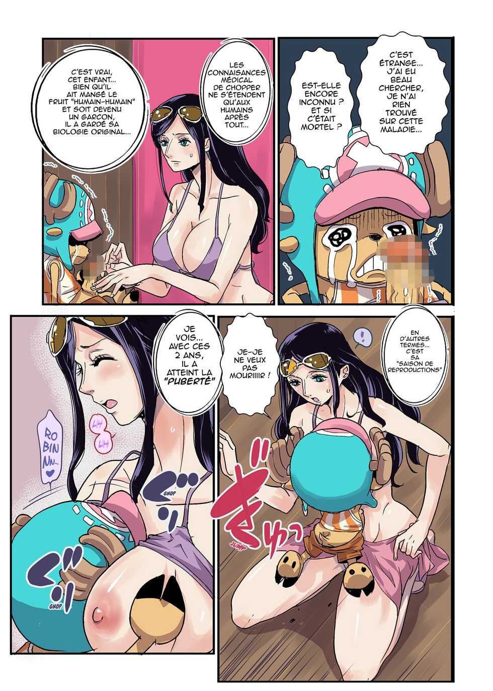 [Oukokusan (Kakutou Oukoku)] CHOP STICK (One Piece) [French] - Page 9