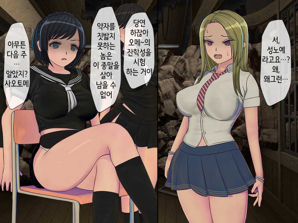 [Sakusei Kenkyuujo] Sakusei Gakkyuu (3) ~Seikaku Saiaku no Joshi shika Inai Gakkou de Seiteki Ijime Seikatsu~ | 착정학급 ~성격 최악의 여자밖에 없는 학교에서 성적 왕따 생활~ [Korean] - Page 15